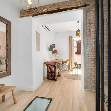 Urban Rose , Superb Private House In Historical Center, With Sunny Rooftop Holiday home Malaga